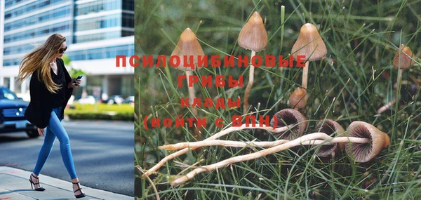 мяу мяу кристалл Абдулино
